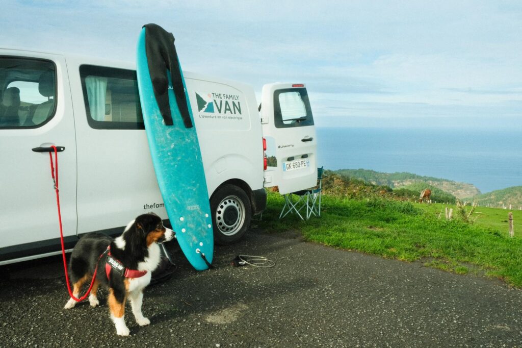 Voyager en van aménagé avec son animal de companie